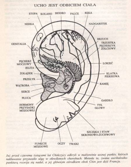art24_clip_image002.jpg