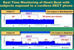 20101022_havas_chart.jpg