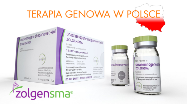 Zongelsma2-800x445.png
